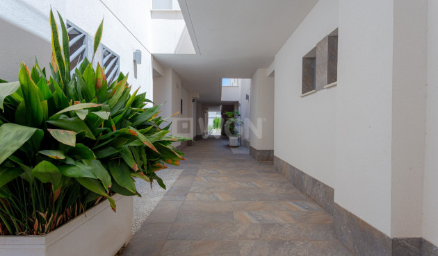 Wiederverkauf - Wohnung - Torrevieja - Costa Blanca