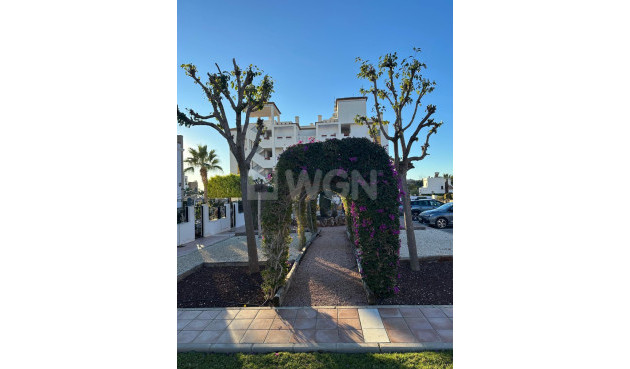 Wiederverkauf - Wohnung - Campoamor - Costa Blanca