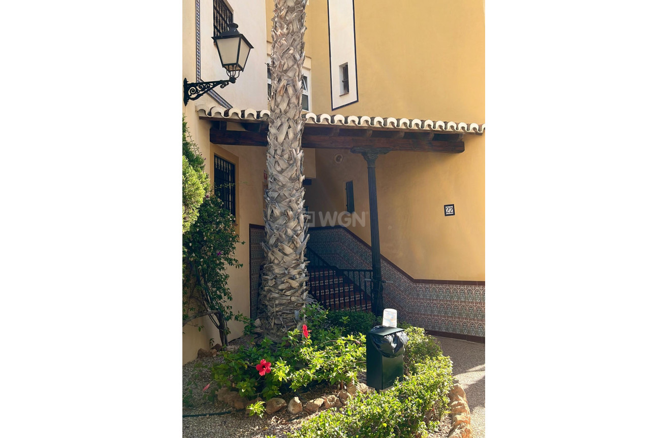 Wiederverkauf - Penthouse - Torrevieja - Los Frutales