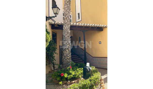 Wiederverkauf - Penthouse - Torrevieja - Los Frutales