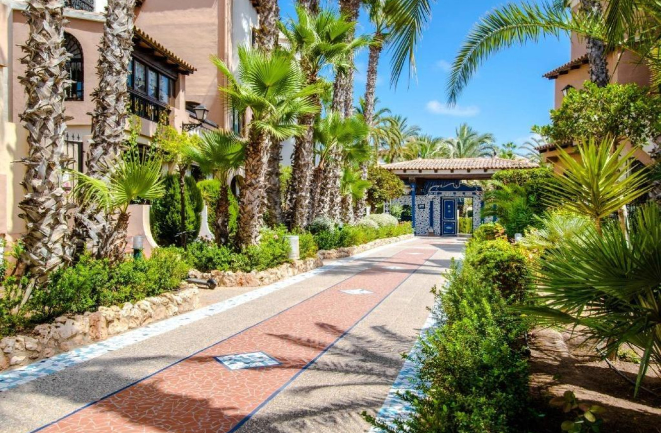 Wiederverkauf - Penthouse - Torrevieja - Los Frutales