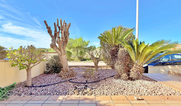 Odsprzedaż - Kamienica - Orihuela - Inland