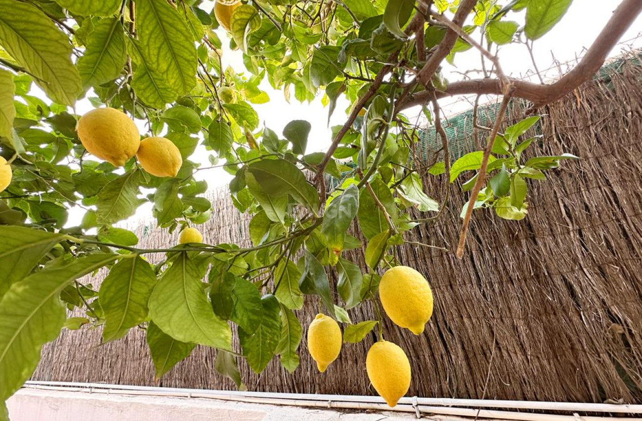 Reventa - Villa - Lo Santiago - Inland