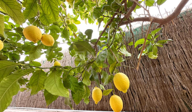 Reventa - Villa - Lo Santiago - Inland