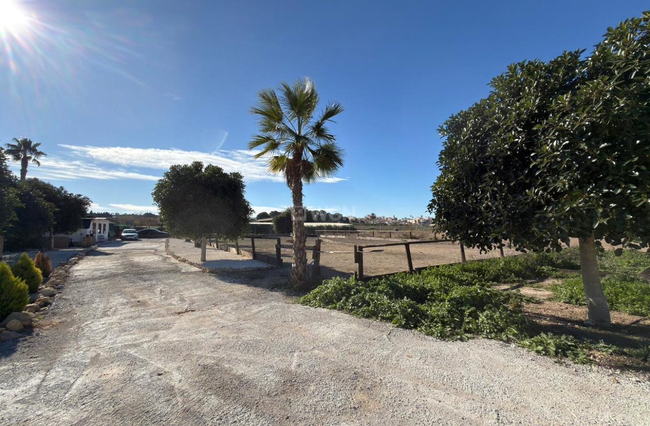 Wiederverkauf - Grundstück / Grundstück - Algorfa - Inland