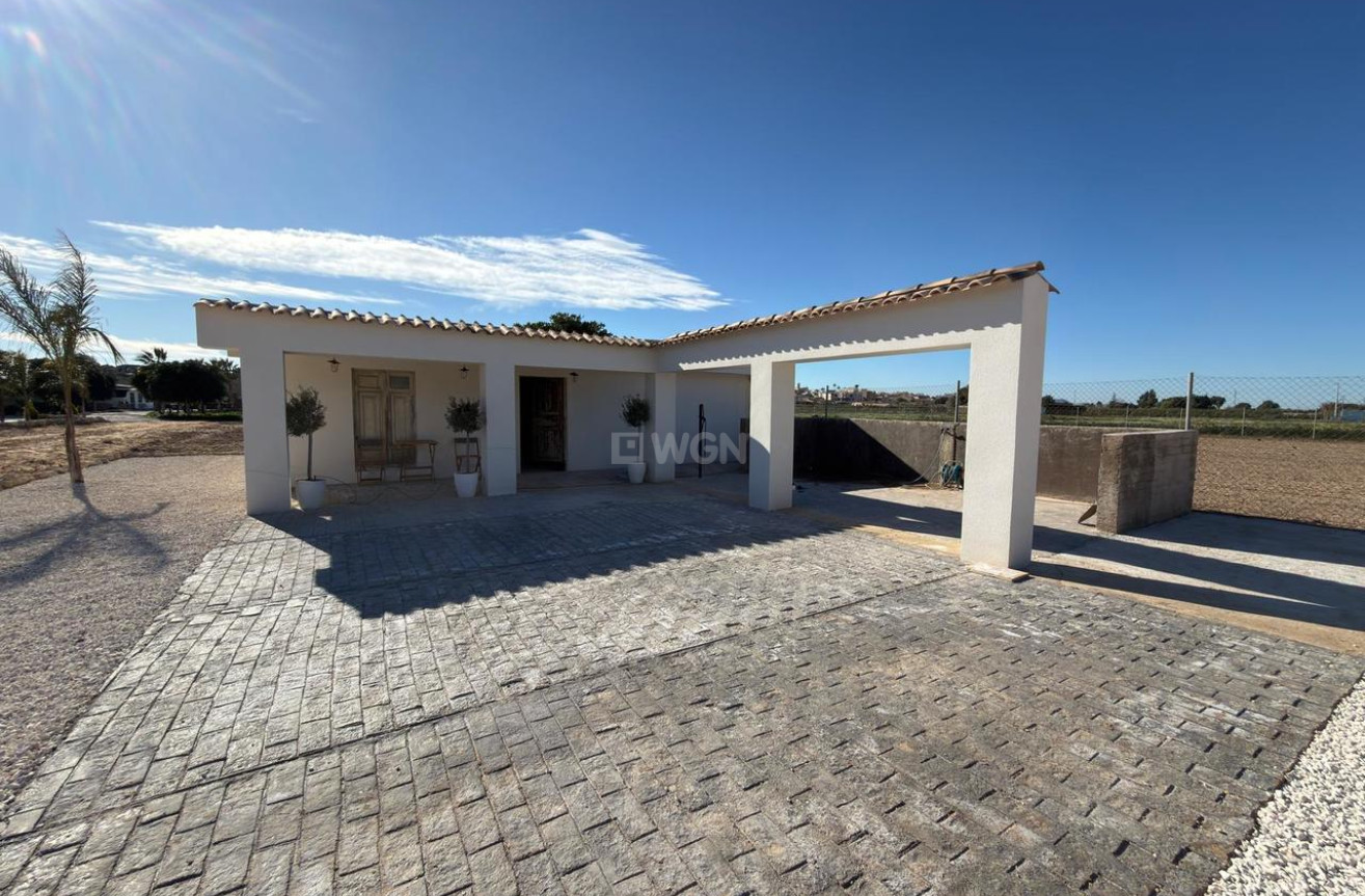 Wiederverkauf - Grundstück / Grundstück - Algorfa - Inland