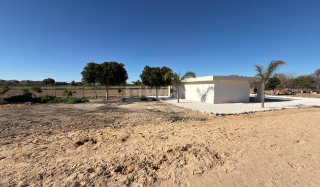 Wiederverkauf - Grundstück / Grundstück - Algorfa - Inland