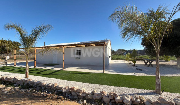 Wiederverkauf - Grundstück / Grundstück - Algorfa - Inland