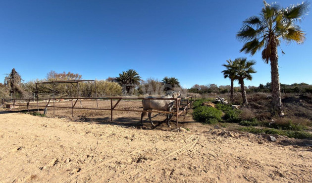 Wiederverkauf - Grundstück / Grundstück - Algorfa - Inland