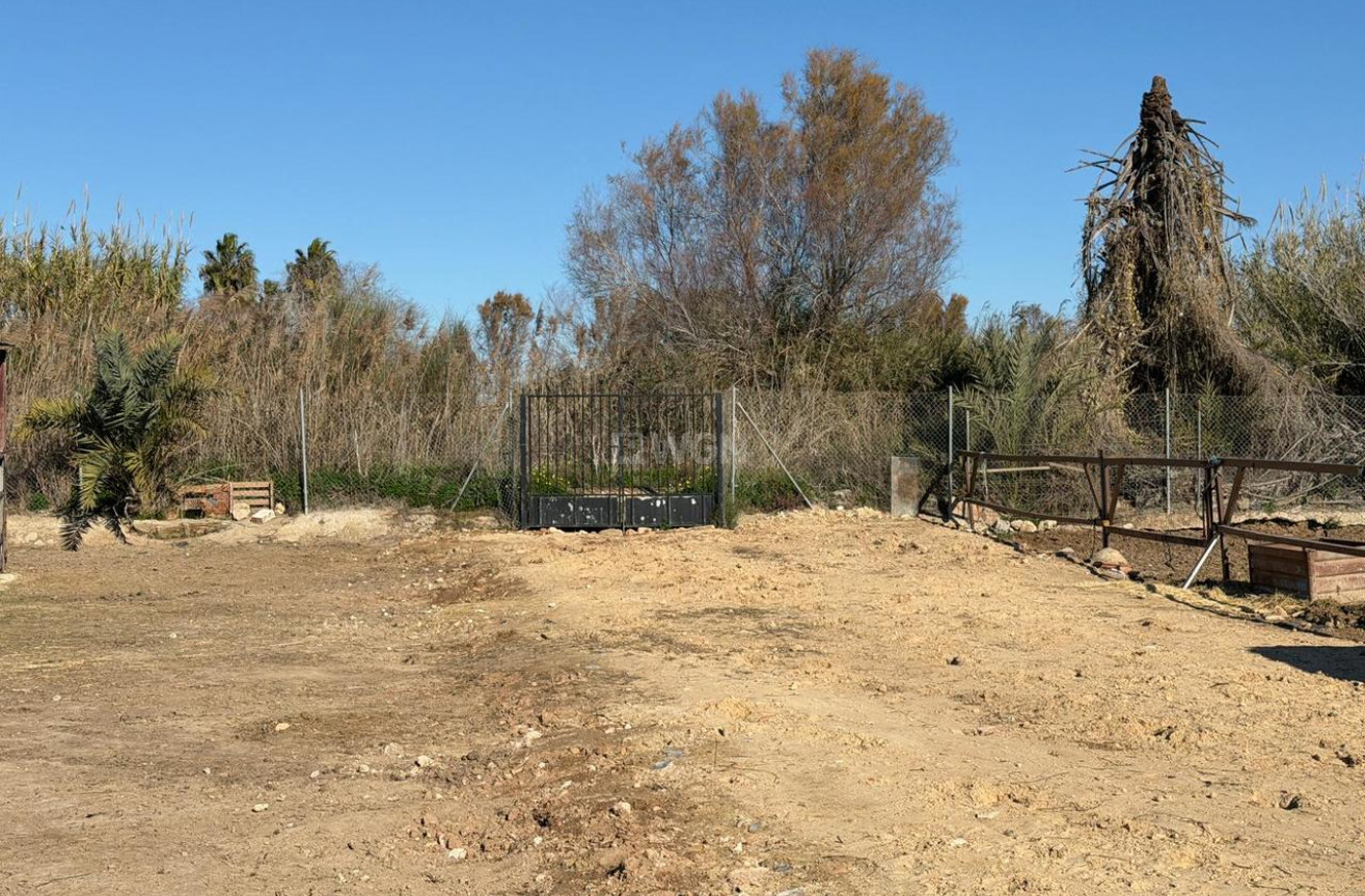 Wiederverkauf - Grundstück / Grundstück - Algorfa - Inland