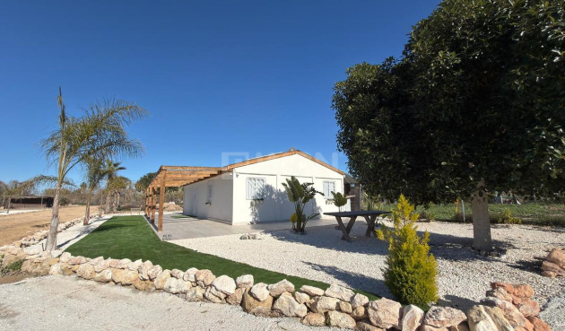 Wiederverkauf - Grundstück / Grundstück - Algorfa - Inland