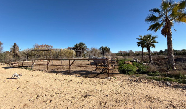 Wiederverkauf - Grundstück / Grundstück - Algorfa - Inland