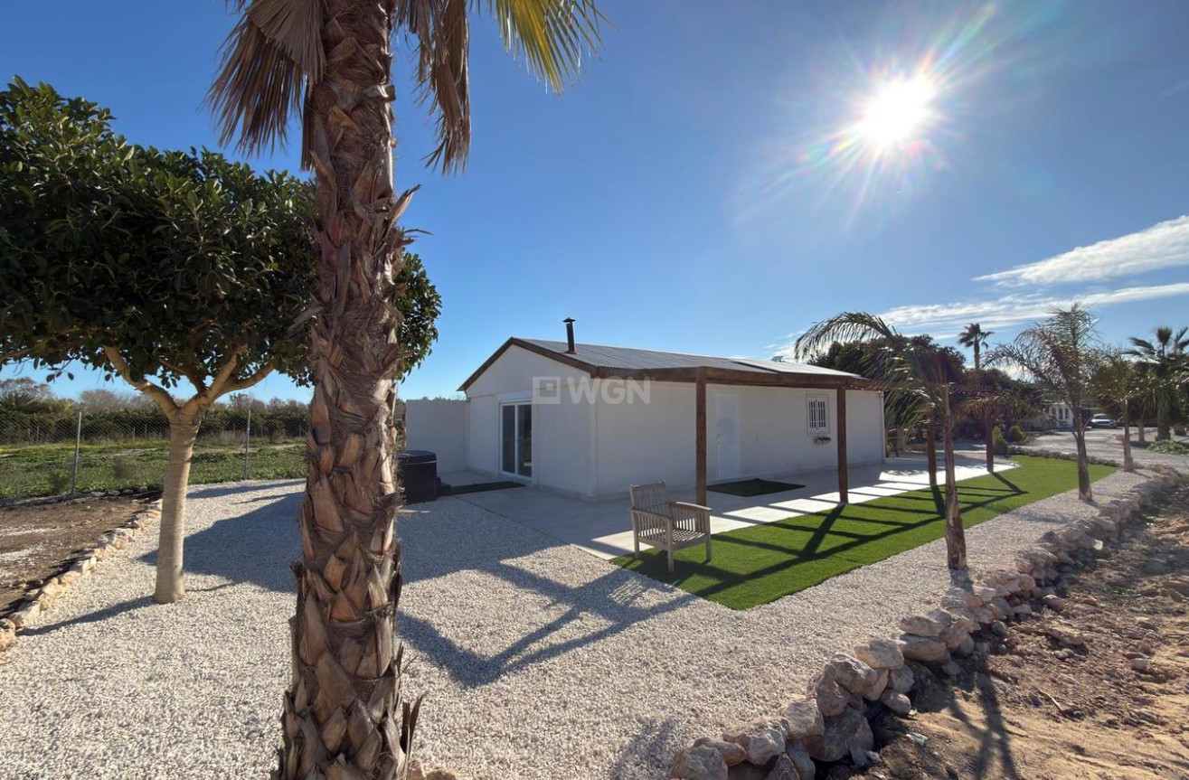 Wiederverkauf - Grundstück / Grundstück - Algorfa - Inland