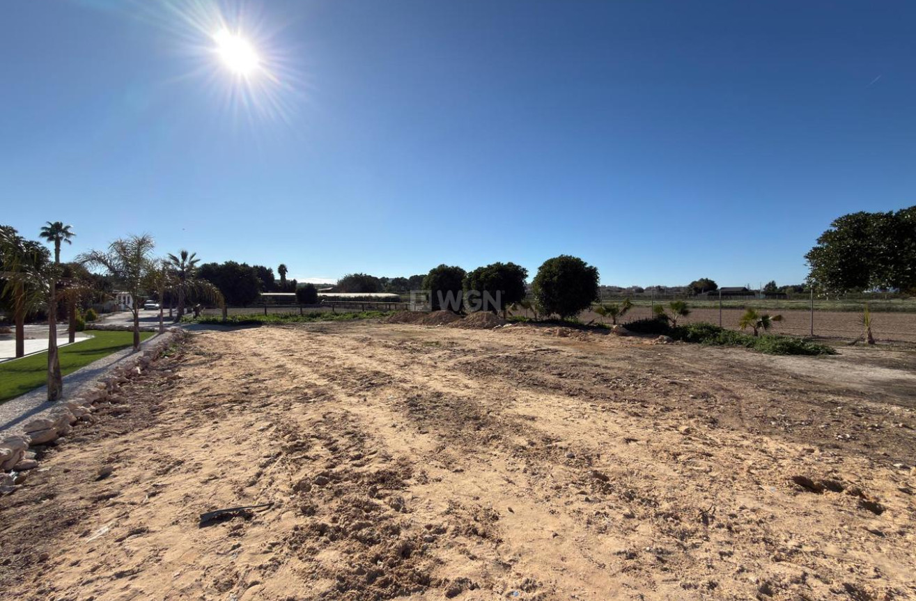 Wiederverkauf - Grundstück / Grundstück - Algorfa - Inland