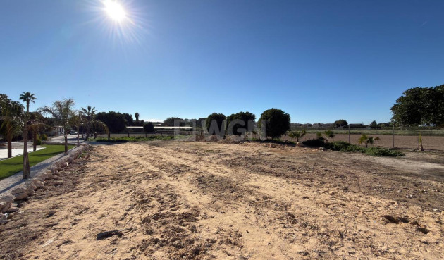 Wiederverkauf - Grundstück / Grundstück - Algorfa - Inland