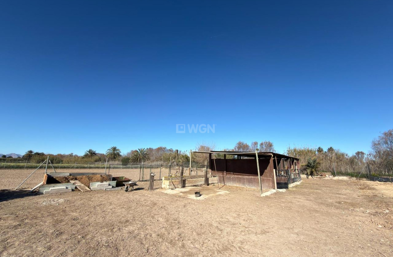 Wiederverkauf - Grundstück / Grundstück - Algorfa - Inland