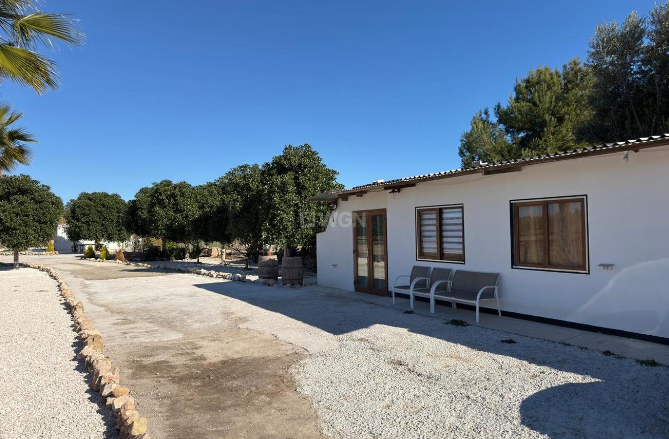 Wiederverkauf - Grundstück / Grundstück - Algorfa - Inland