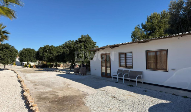 Wiederverkauf - Grundstück / Grundstück - Algorfa - Inland