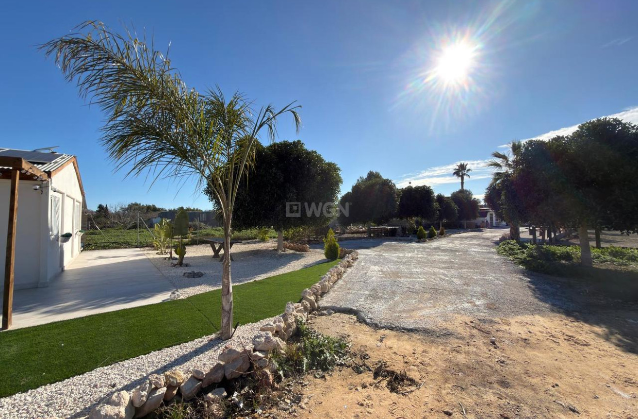 Wiederverkauf - Grundstück / Grundstück - Algorfa - Inland