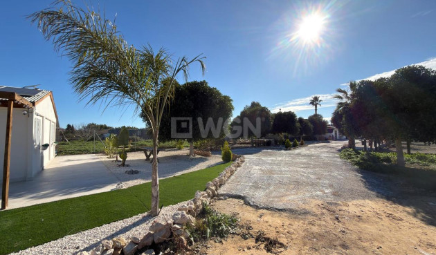 Wiederverkauf - Grundstück / Grundstück - Algorfa - Inland