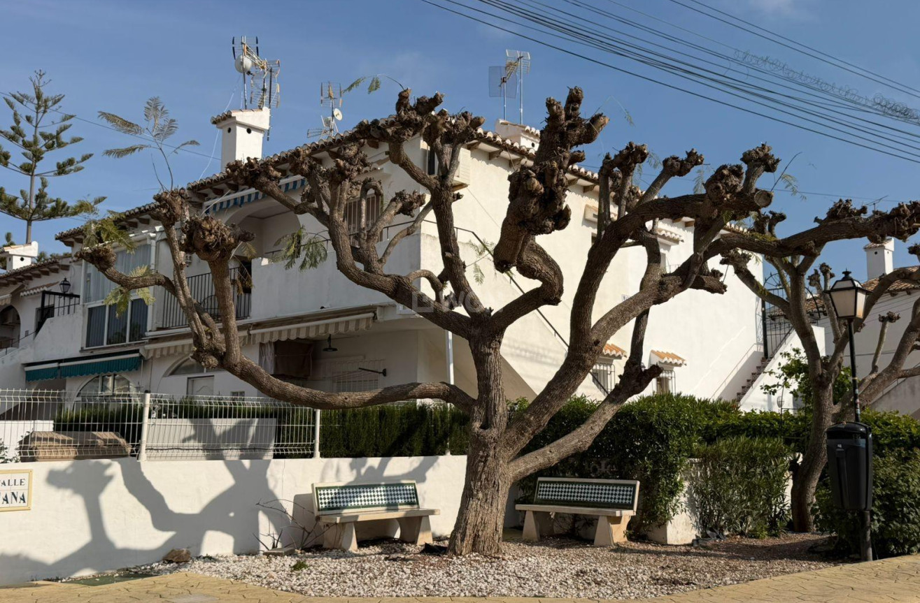 Odsprzedaż - Mieszkanie w bloku - Torrevieja - Los Balcones - Los Altos del Edén