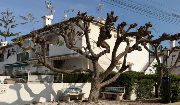 Odsprzedaż - Mieszkanie w bloku - Torrevieja - Los Balcones - Los Altos del Edén