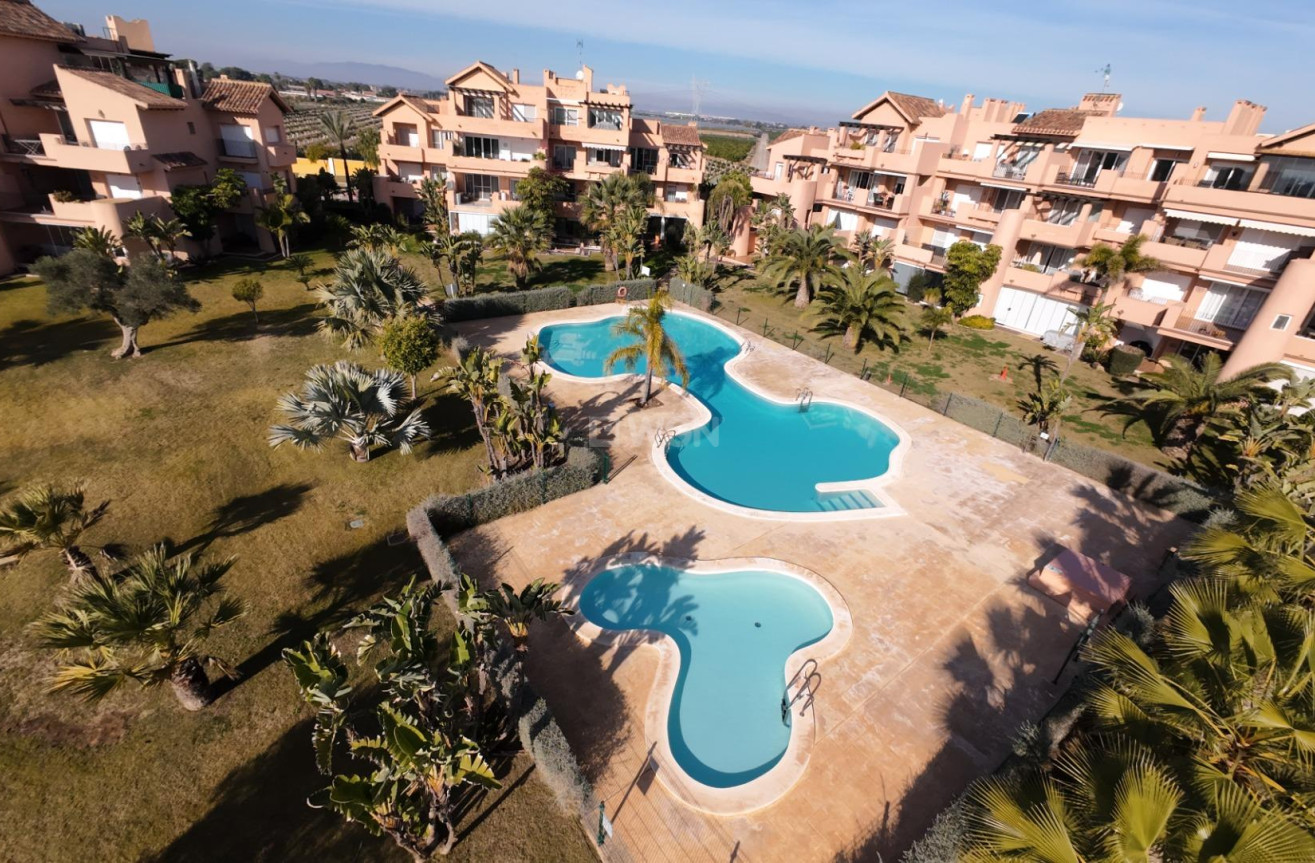 Odsprzedaż - Mieszkanie w bloku - Torre Pacheco - Mar Menor Golf Resort