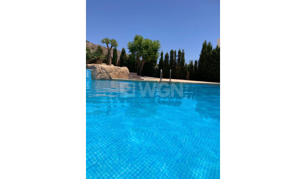 Odsprzedaż - Kamienica - Fortuna - Inland