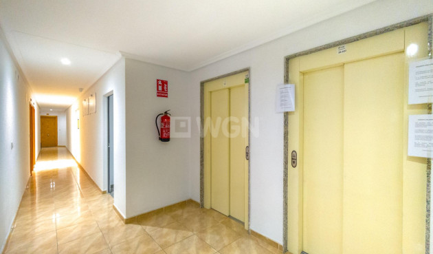 Reventa - Apartamento / piso - Torrevieja - Acequion