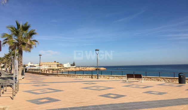 New Build - Villa - Pilar de la Horadada - Las Higuericas