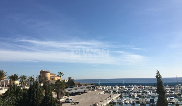 New Build - Villa - Pilar de la Horadada - Las Higuericas