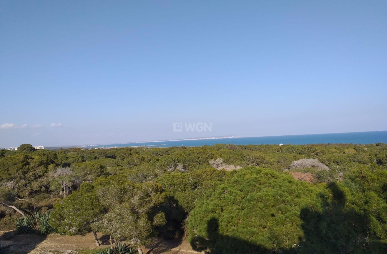 Nowy budynek - Mieszkanie w bloku - Guardamar del Segura - Pueblo