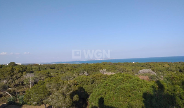 Nowy budynek - Mieszkanie w bloku - Guardamar del Segura - Pueblo