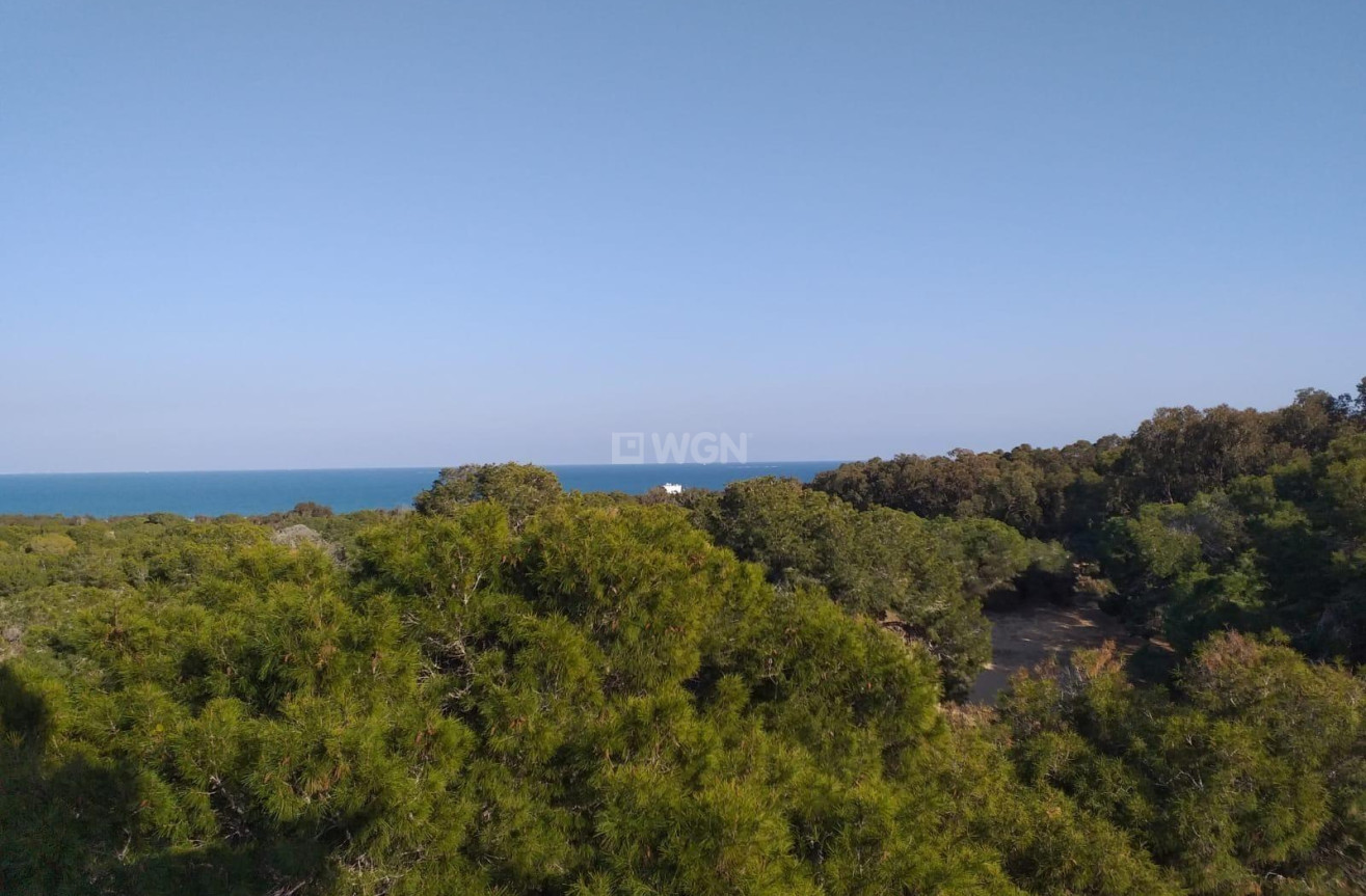 Nowy budynek - Mieszkanie w bloku - Guardamar del Segura - Pueblo