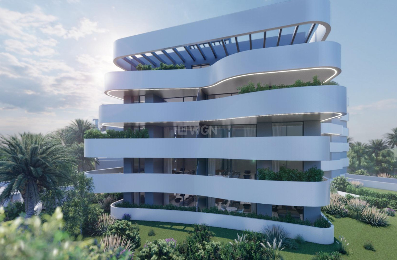 Nowy budynek - Kamienica - Guardamar del Segura - El Raso