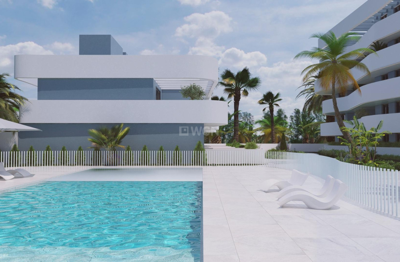 Nowy budynek - Kamienica - Guardamar del Segura - El Raso