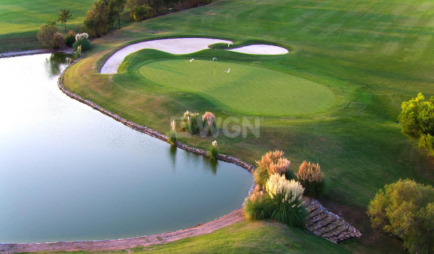 New Build - Villa - Pilar de la Horadada - Lo Romero Golf