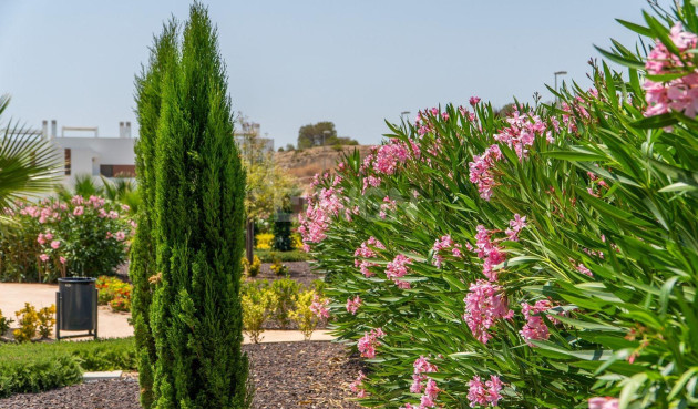 Neue Gebäude - Stadthaus - Orihuela - Vistabella Golf