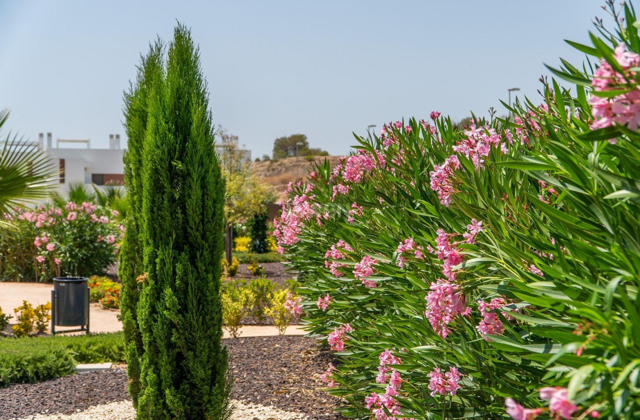 Obra nueva - Bungalow - Orihuela - Vistabella Golf