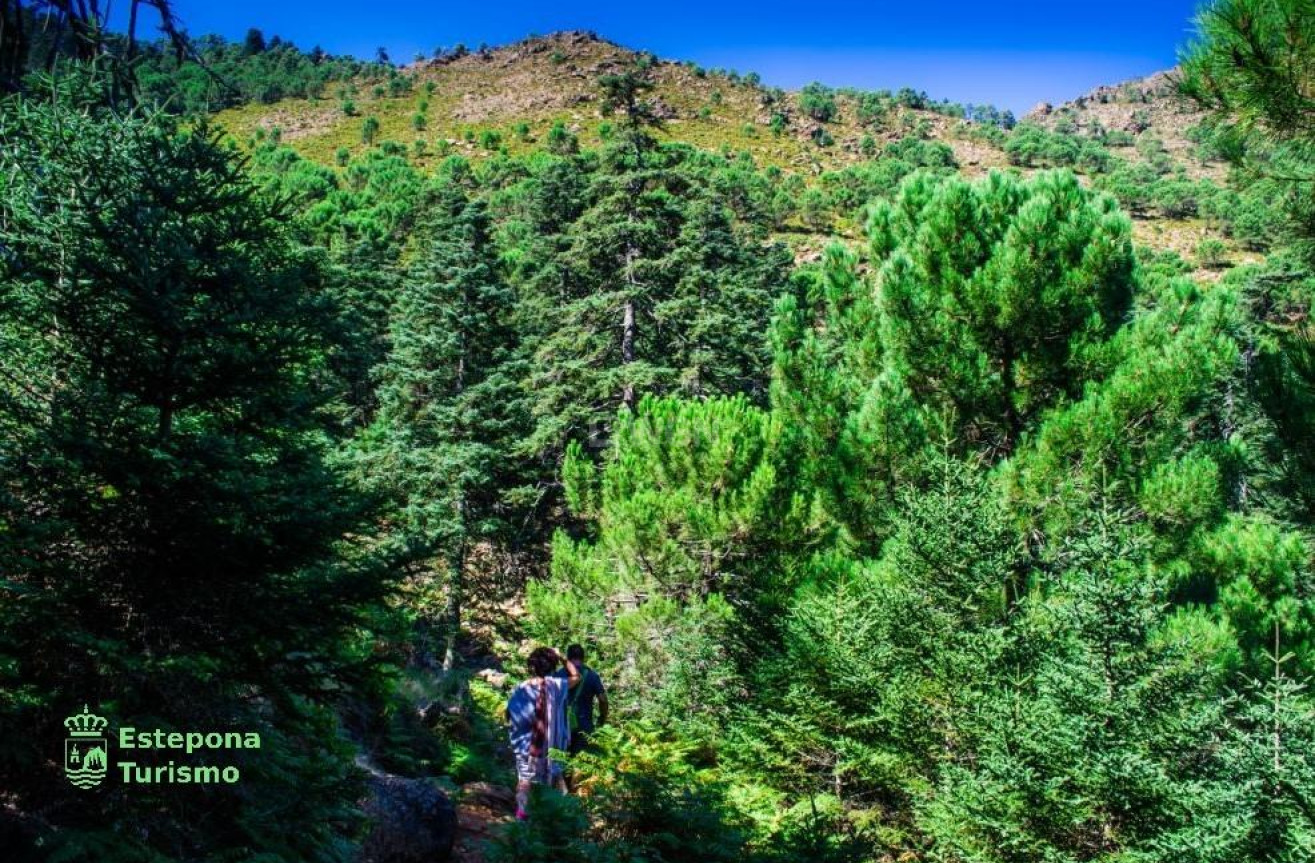 New Build - Penthouse - Estepona - Playa de La Rada