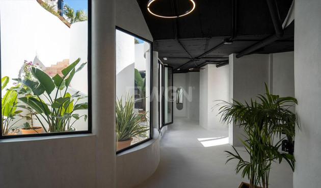 New Build - Apartment / flat - Marbella - Nueva Andalucia