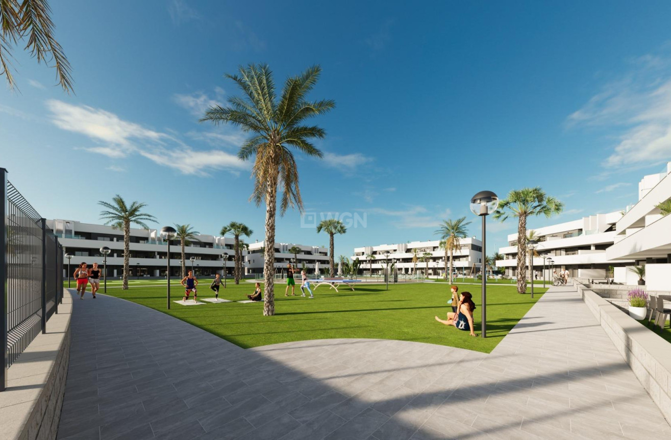 Nowy budynek - Daszek - Guardamar del Segura - El Raso