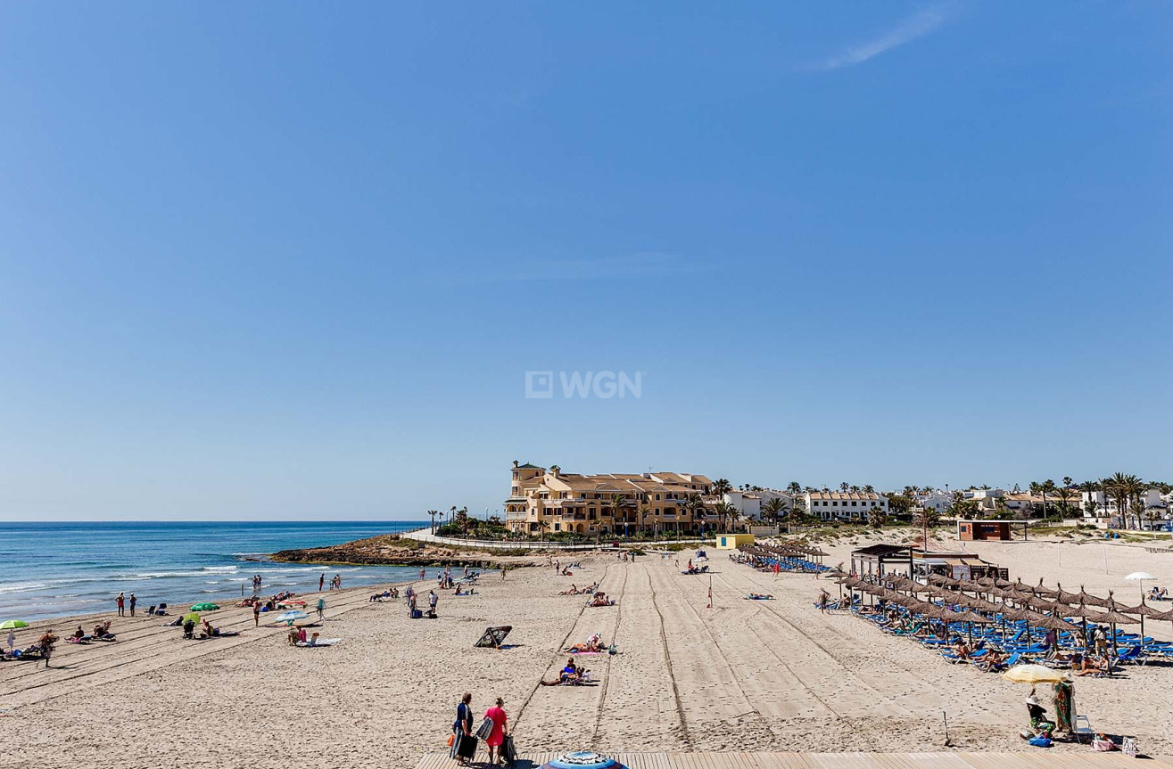 Nowy budynek - Villa - Orihuela Costa - La Zenia