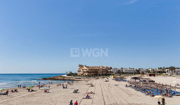 Nowy budynek - Villa - Orihuela Costa - La Zenia