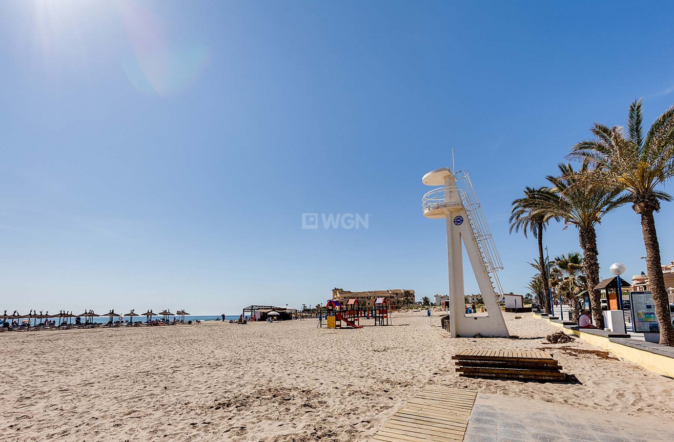 Nowy budynek - Villa - Orihuela Costa - La Zenia