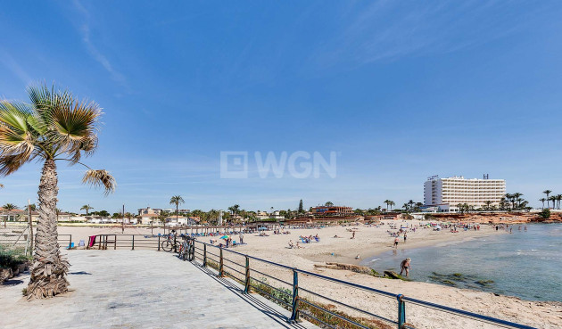 Nowy budynek - Villa - Orihuela Costa - La Zenia