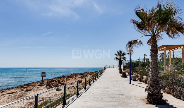 Nowy budynek - Villa - Orihuela Costa - La Zenia