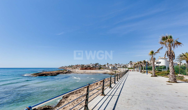 Nowy budynek - Villa - Orihuela Costa - La Zenia