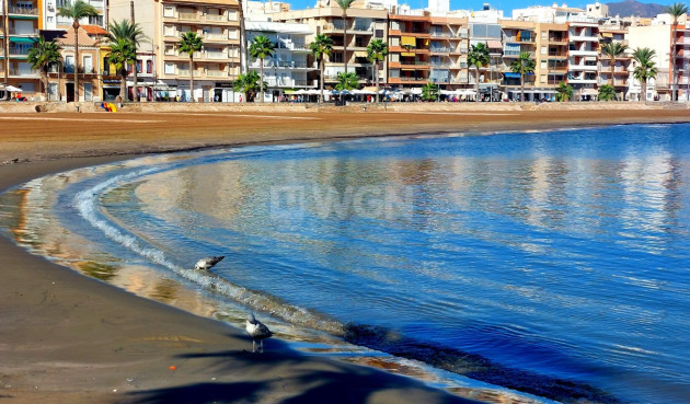 Nowy budynek - Bungalow - Fuente Álamo - La Pinilla