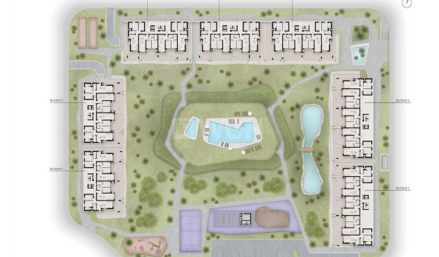 Nowy budynek - Daszek - Torrevieja - La Siesta